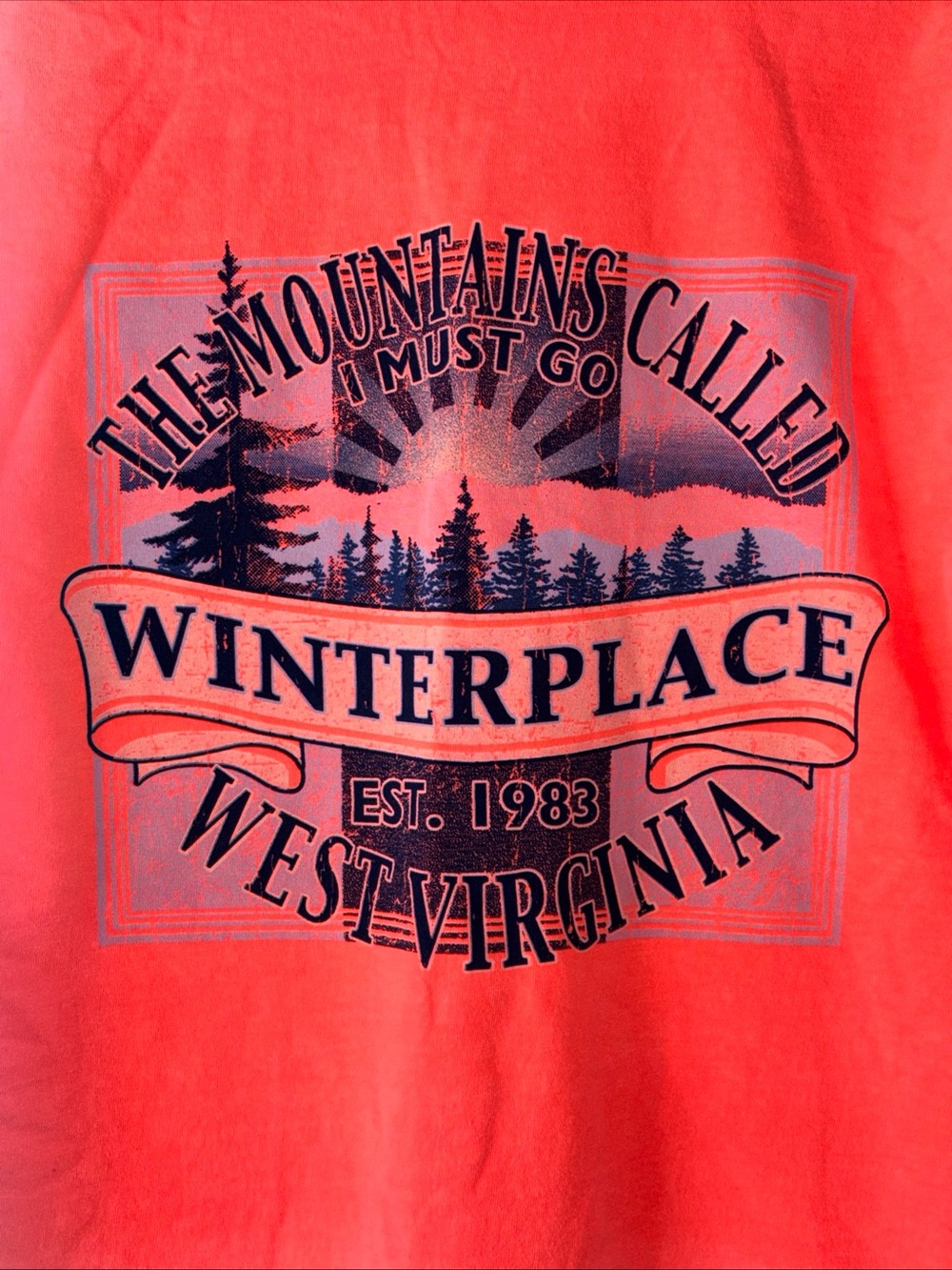 Comfort Colors Orange Long Sleeve Graphic Tee with Navy Print